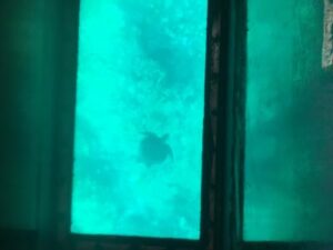 一足先に夏満喫(^o^)